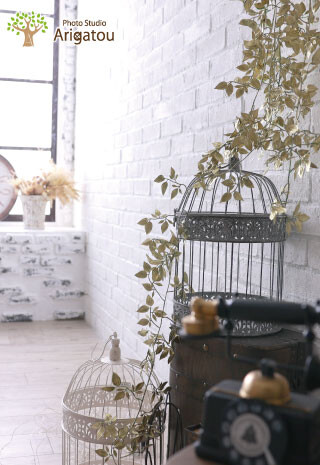 フォトスタジオありがとう 海老名店の店舗画像1