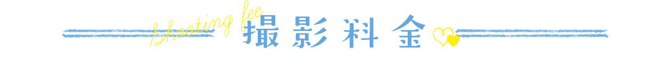 ttl_fee