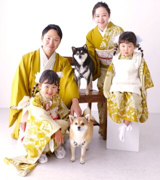 「七宝・紗綾形」シリーズ　セルフィットオリジナル！チヒロコレクション