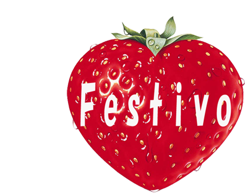 PrivatePhotostudio Festivo