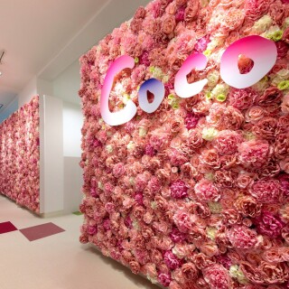 トータルフォトスタジオCoco　いわき店の店舗画像1