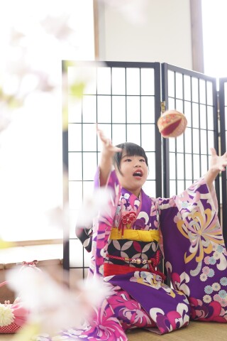 兄弟姉妹アルバムプラン
