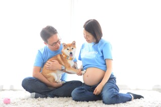ハニーAプラン
