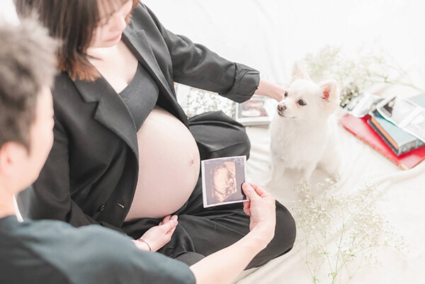 エコー写真とお腹との写真1