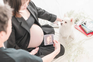 エコー写真とお腹と