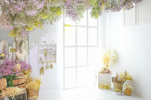 photo house TOPIC |フォトハウストピック