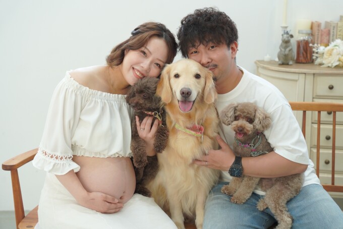 ハニーBプラン
